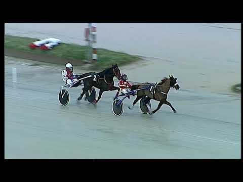 Trotto 05/01/2021 - prova di qualifica