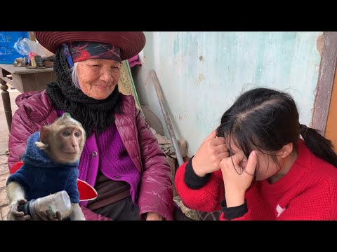 Burglary Secrets Exposed! Terror Leads Grandma to Live with Huong and Nahu Monkey