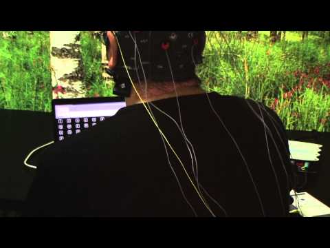 Slobodan BCI experiment