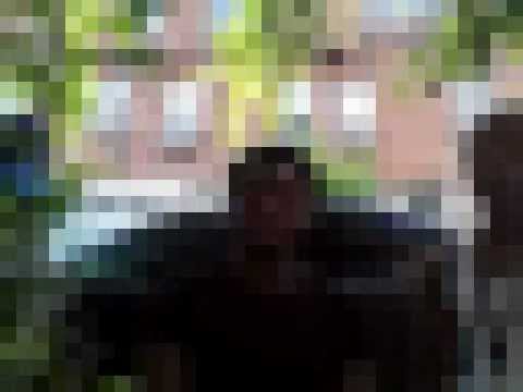 Zelly Stackz,& JT freestyle in uptown (BMF/AMG) B.I