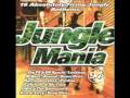 Aswad - Warriors (Beatmasters) Jungle Mania 94