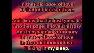 Christopher Cross  Talking In My Sleep (karaoke)(by request)