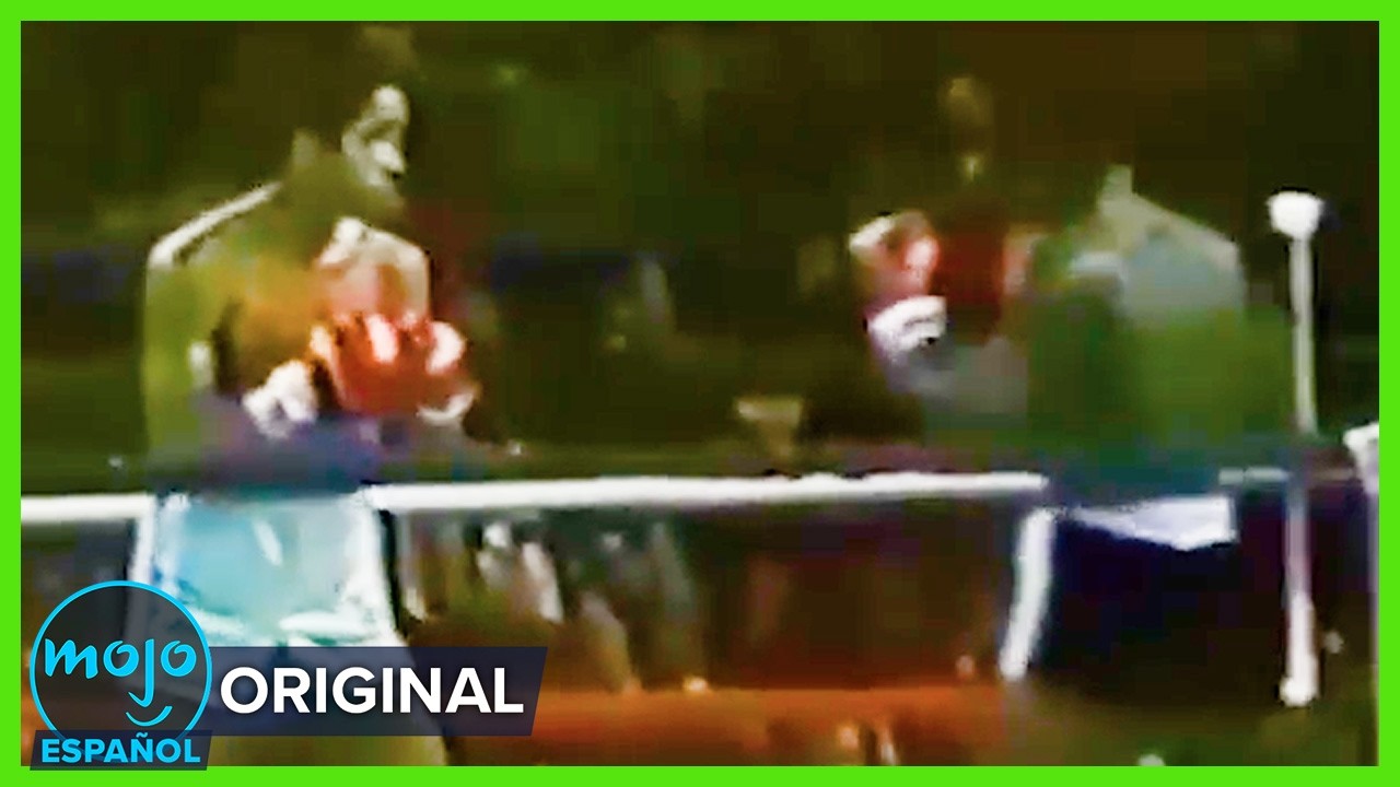 10 Historias Más Trágicas de Boxeadores