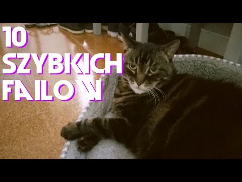 10 SZYBKICH FAILOW | #1