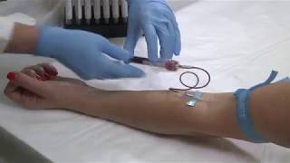 VACUETTE Safety Blood Collection Set