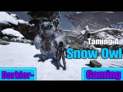 Ark Extinction How To Tame A Snow Owl (Guide)