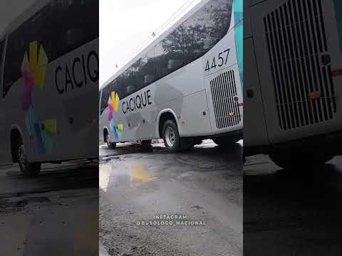 CACIQUE TRANSPORTES-4457/SALVADOR(BA) X ELÍSIO MEDRADO(BA)#busologia#busologo#cacique#shortsbus