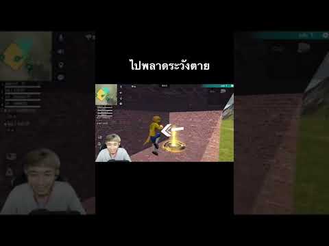 ฟีฟาย