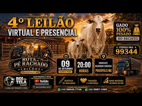 4º leilão Na Rota do Pé Rachado Pratápolis - MG / 09.09.2026 / Transmissão ao vivo Boi Na Tela