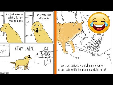 Compare And Contrast Between Pet Dog And Cats Essay – Ssencucom1999