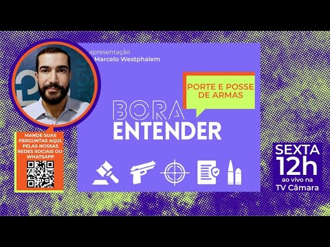 Porte, posse e comercialização de armas - 23/08/2024 #BoraEntender