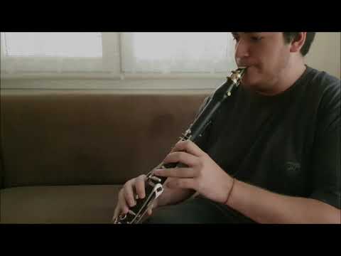 Berke Altıparmak - Hüzzam Klarnet Taksimi