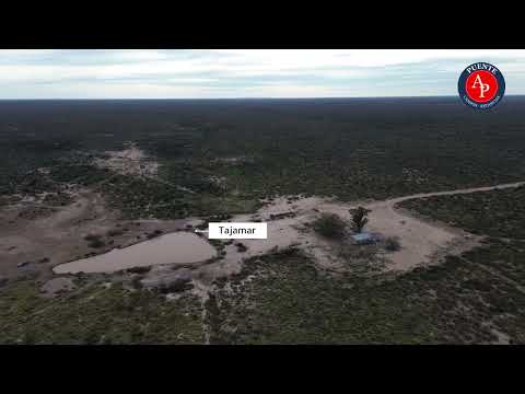 Campo en Venta | 5.000 Ha. La Reforma - La Pampa