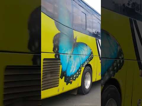 Ankai HFF6130GZ Cummins ISLE310 SJB 17885 Ruta ZFC de San pedro de Poás Alajuela