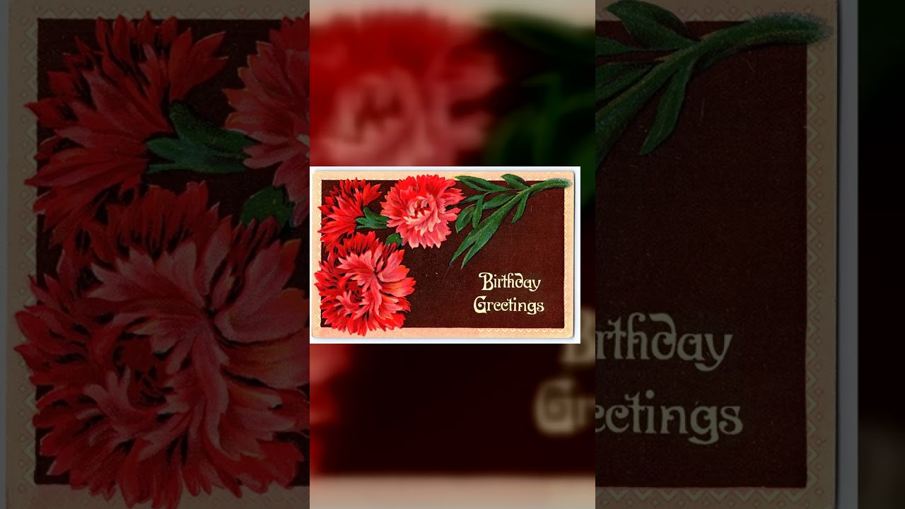 Printed in Germany, Divided Back, Birthday Greetings, Early 1900s Video