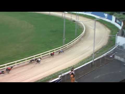 2023 RPGTV Corn Cuchulainn Semi-Finals