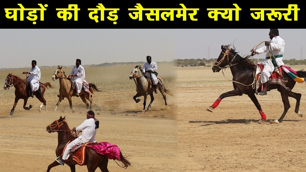 Horse Race Lanela Rann Jaisalmer – Important for Sindhi Breed