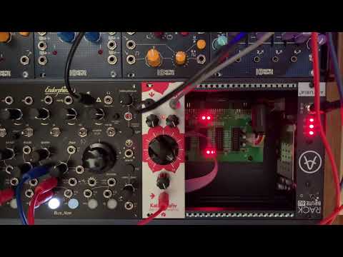 TouellSkouarn - Kala Goanv