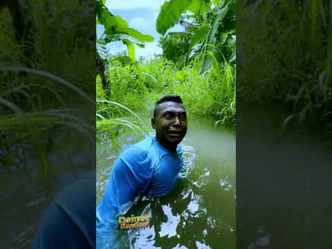 Lost in the Woods Part 2 #humor #comedy