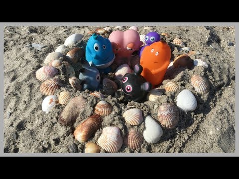 Babblarna på stranden - Babblarna leker med sand - Kurragömma med Babblarna