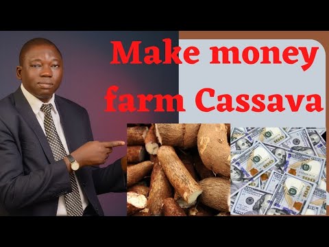 , title : 'How to make money from cassava farming in Nigeria -  step by step guide into cassava production'