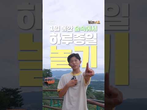 1일 동안 숲속에서 하루종일 놀아보기!