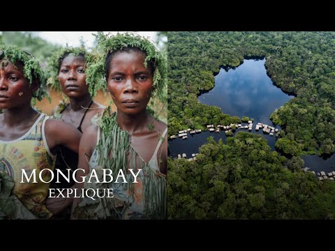 Pourquoi cet endroit du Congo attire-t-il autant d’attention ? | Mongabay Explique