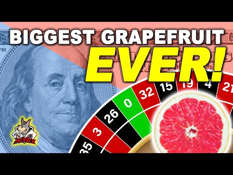 HIGHEST RATED SYSTEM! "DONKEY PUNCH" #roulette