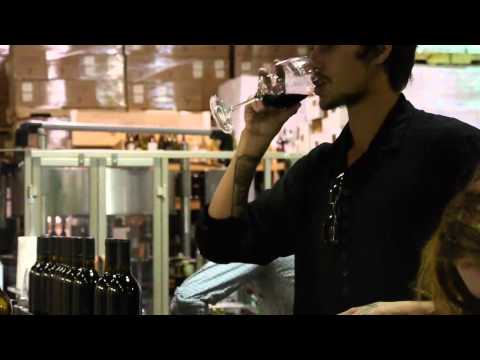 Dylan Rieder X Hobo Wine Co. Thunder Colab Truck