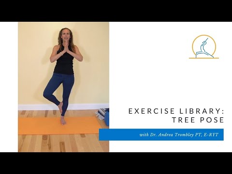 Exercise Library: Tree Pose