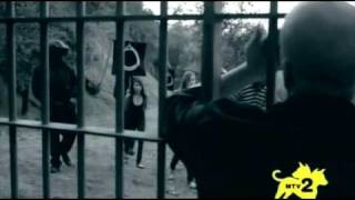 cattle decapitation regret and the grave x264 2009 srp