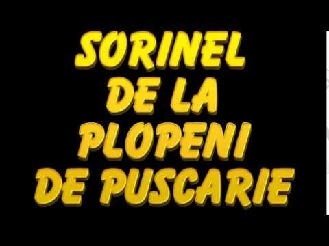 SORINEL DE LA PLOPENI  -  DE PUSCARIE HAI MAMA LA VORBITOR