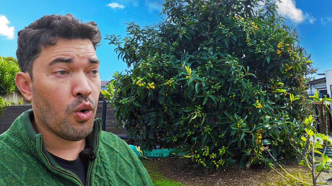 The Spring Garden is EXPLODING! 🏡🤯