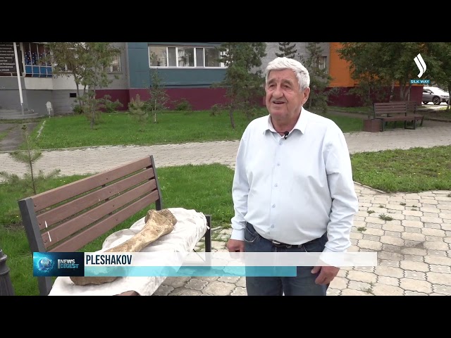 Солтүстік Қазақстан облысында мамонт сүйегі табылды