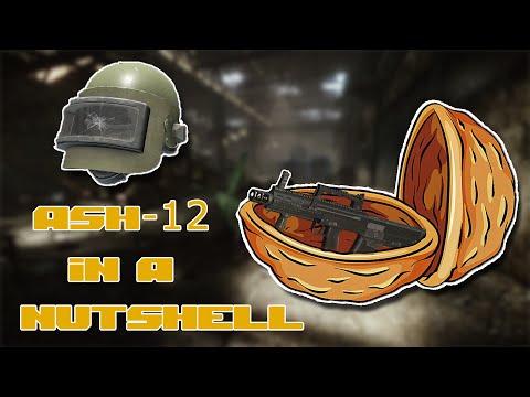 ASh-12 in a Nutshell | Random EFT Moments #3