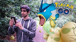 WILD GYARADOS & HATCHING EGGS! - POKEMON GO
