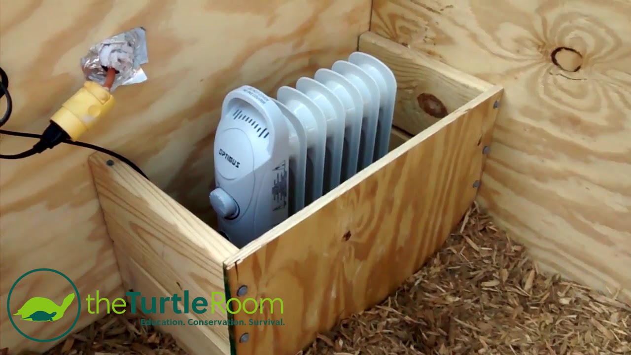 Watch video Secure Outdoor Tortoise Enclosure WITH HEAT! Now Secure Outdoor Tortoise Enclosure WITH HEAT!