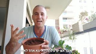 גידול ירקות חורף באדניות במרפסת