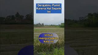Thumbnail Stoikisme Dalanan