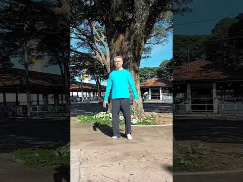 EMAGREÇA COM QIGONG.  Pratique 10 a 15min por dia.
