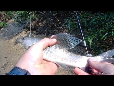рыбалка на таежной реке/хариус/ленок/(июль 2018)
