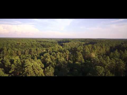 Siedlisko na Wygonie 2014