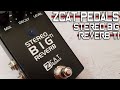Zcat Pedals Stereo BIG Reverb TI VIDEO REVIEW NO TALK ONLY TONES