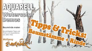 Tipps und Tricks zu Baumstämmen und Rinde