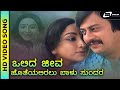 Olida Jeeva Lovely Duet Song Benkiya Bale Ananthnag Lakshmi Rajan Nagendra