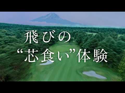 レディース フェアウェイウッド XXIO X(ゼクシオ テン) ブルー レディース フェアウェイウッド XXIO X(ゼクシオ テン) ブルー
