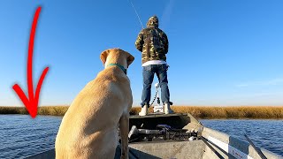 BIG FISH ON LITTLE ROD - TRUTH to Creating Fishing Content