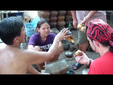 Description de la vidéo