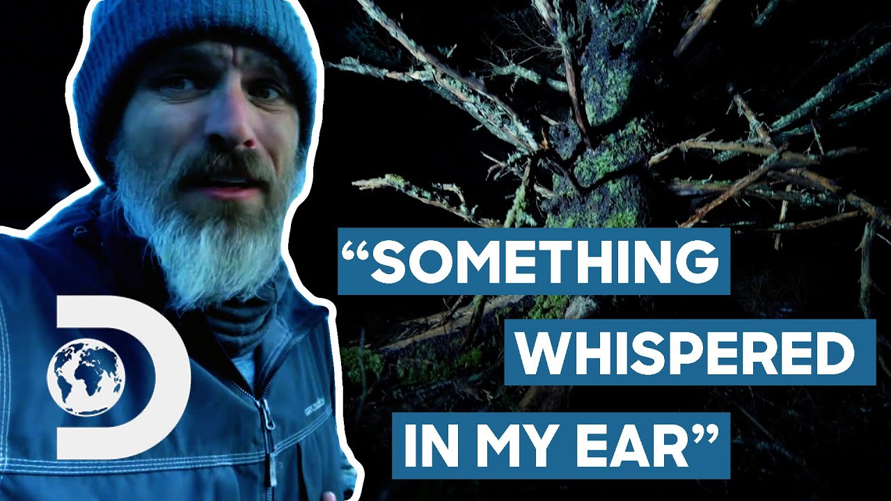 Bigfoot Becomes More Aggressive After The Team's Communication Attempt | Alaskan Killer Bigfoot