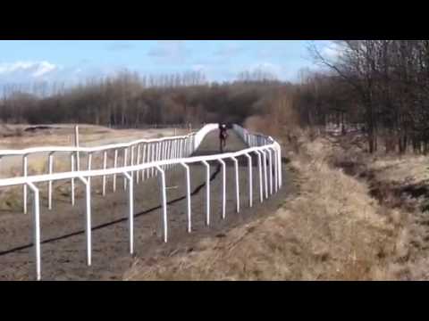 IKC Dragon Heart training